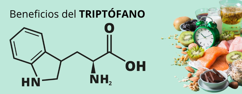 blog Descubre los beneficios del triptófano para el organismo