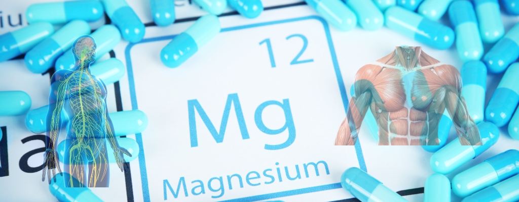 El magnesio: clave para los músculos y el sistema nervioso