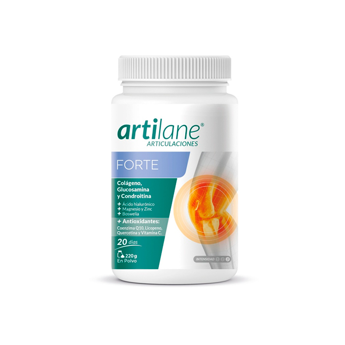 Artilane Forte Polvo 220g