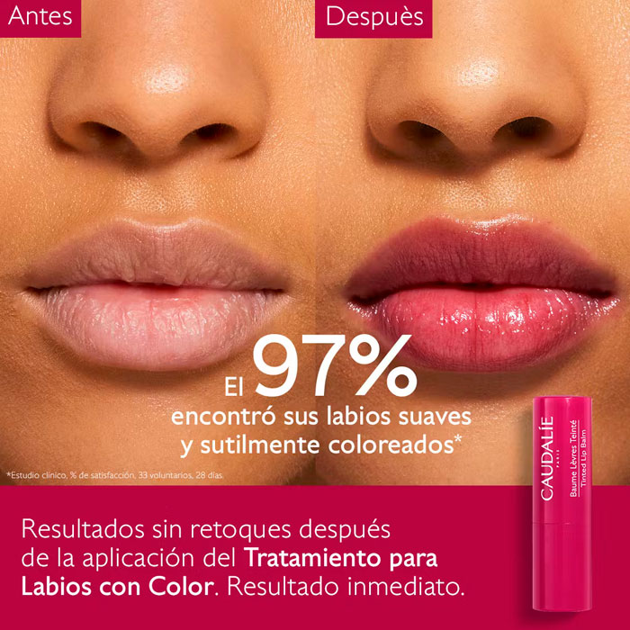 Caudalie Vinotherapist Tratamiento Labios con Color 4.5g