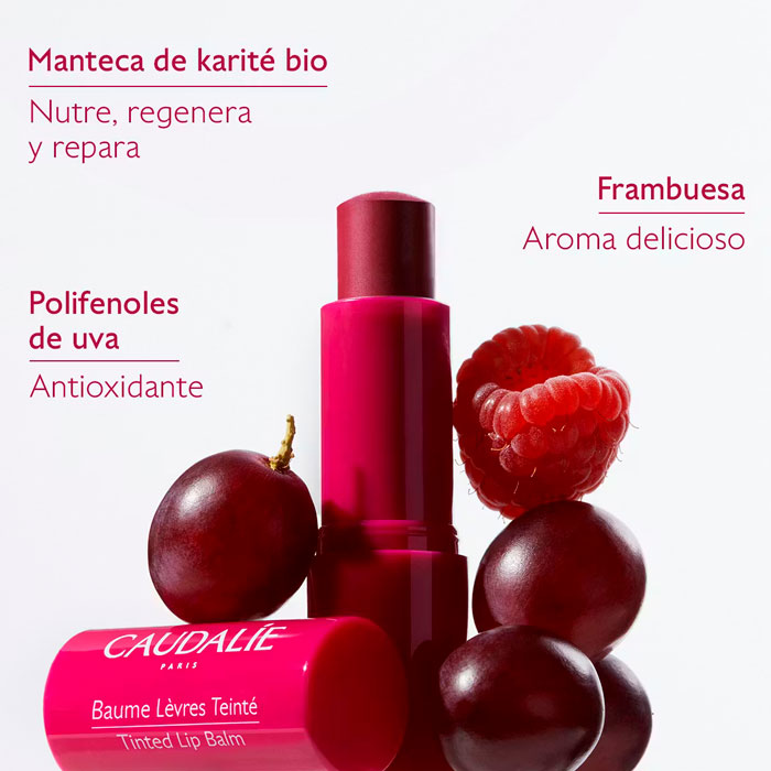 Caudalie Vinotherapist Tratamiento Labios con Color 4.5g