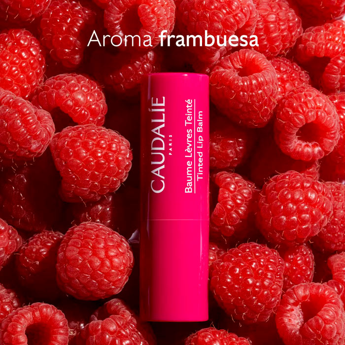 Caudalie Vinotherapist Tratamiento Labios con Color 4.5g