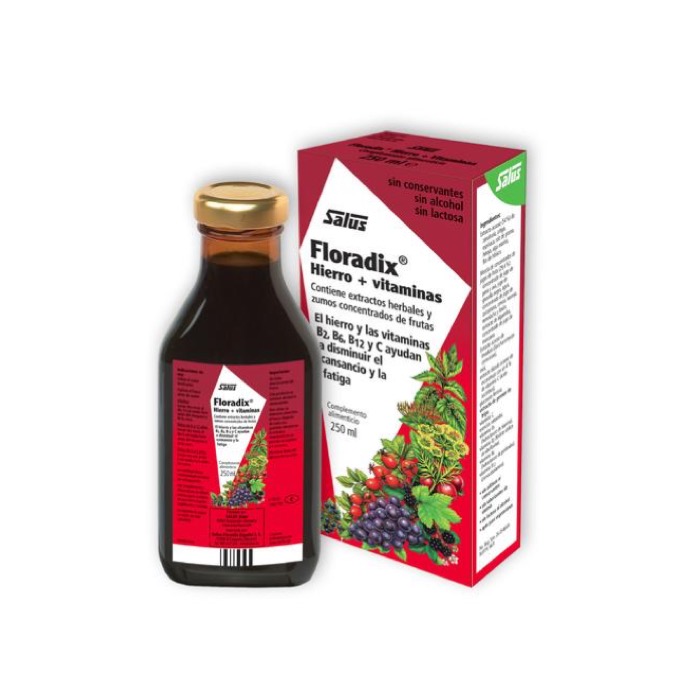 Floradix Hierro + Vitaminas 250 ml