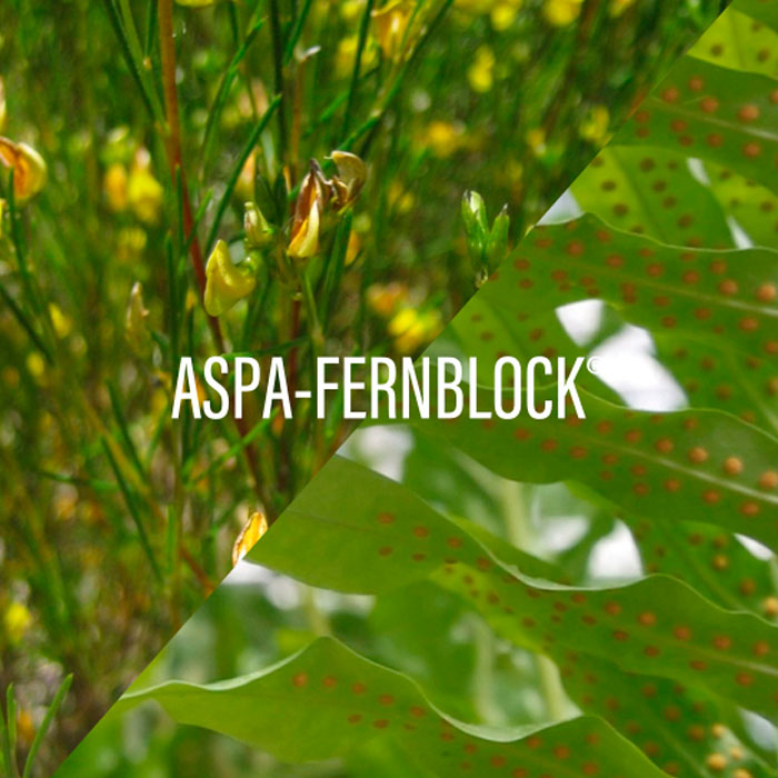 Heliocare 360º Pigment Stick Color Beige Spf50 10g