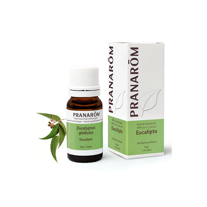 Pranarom Aceite Esencial Eucalipto 10ml