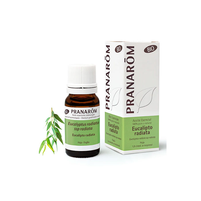 Pranarom Aceite Esencial Eucalipto Radiata Bio 10ml