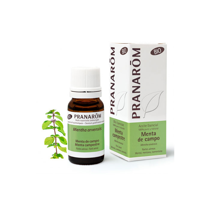 Pranarom Aceite Esencial Menta de Campo 10ml