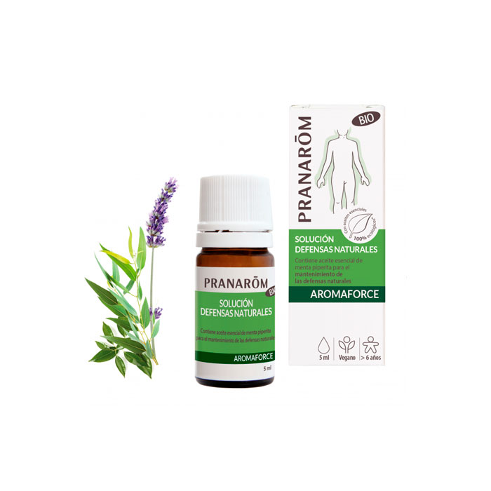 Promociones y Descuentos