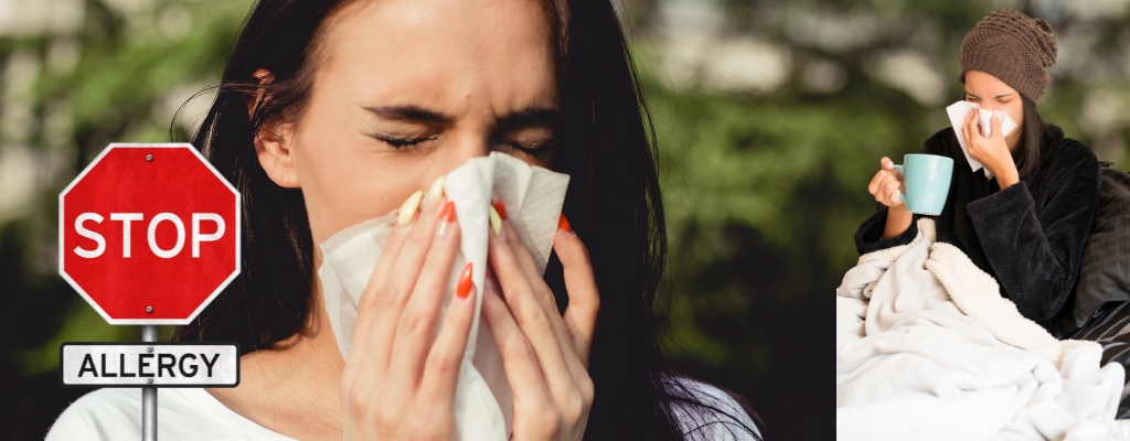 Alergia otoñal vs resfriado: cómo diferenciarlos y qué aliviar en casa
