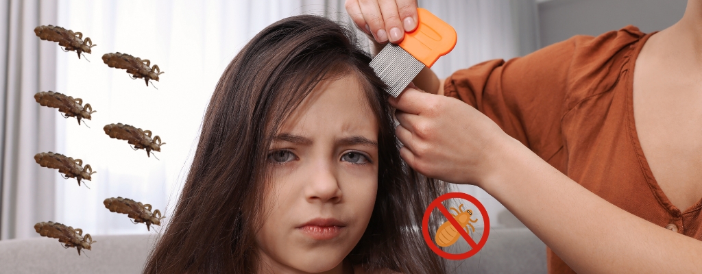 Piojos en la vuelta al cole: mitos, prevención y tratamiento eficaz (sin drama)